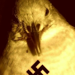 Thony Thony, 14.04.1995, Novo Hamburgo