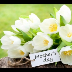 Даша Котик, 29.01.2001, Актау