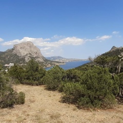 Павел Апрелев, Санкт-Петербург