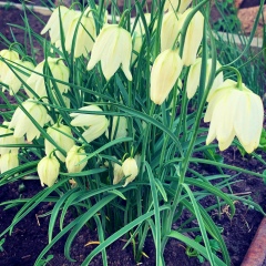 Елена Жукова, 26.07