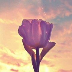 Aizada Abdikadir, 19.12.1993, Алматы