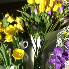 Мария Латыпова, 10.12, Москва