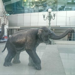 Елена Федорова, 16.08.1988, Санкт-Петербург