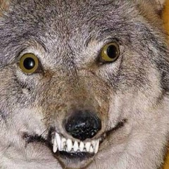 Егор Небожитель, 07.05.1991