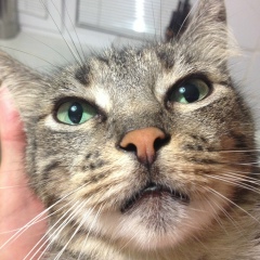 Алексей Вицко, 21.02.1987, Харьков