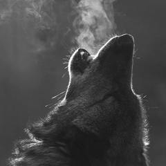 Никита Винюков, Краснодар