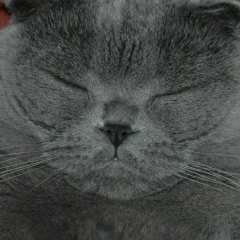 Рома Малечко, 27.12.1985, Киев