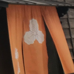 Nurlybek Temirbay, 25.05