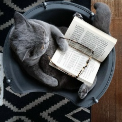 Теодор Федоров, 16.07.1996