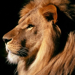 Артур Абдуллин, 04.12, Атырау