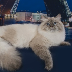 Анна Витман, 14.08, Санкт-Петербург