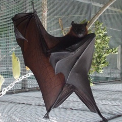 Юра Герасим, 14.08, Тирасполь