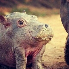 Дмитрий Лешенок, 26.07, Москва