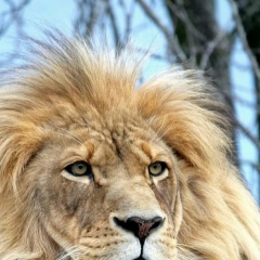 Владимир Бреславский, 12.08.1980