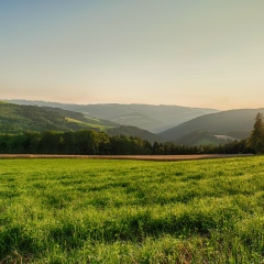 Сергей Лукьянов