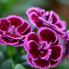 Светлана Уткина, 02.08, Москва