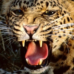 Ян Слободянюк, 31.05.1992, Москва