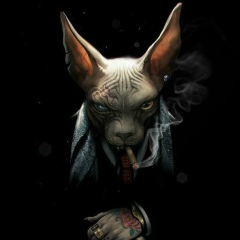 Коля Давидкевич, 19.12, Львов