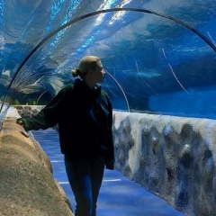 Анастасия Анциферова, 28.08, Славянск