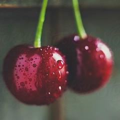 Елена Шевченко, 22.08