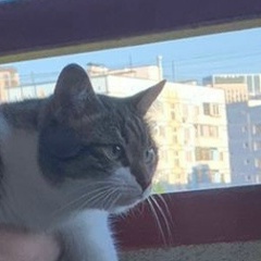 Валида Шагиданова, 18.07.1994, Москва