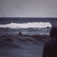 Хеда Асабаева