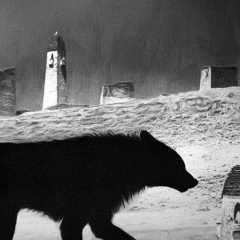 Адам Дукузов, 06.07.1987, Грозный