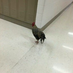 Элина Браева, 03.07.1999