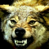 Walxar Aimanov, 01.02, Актау