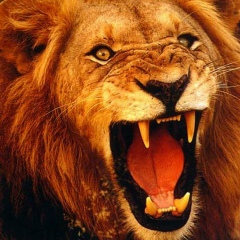 Виталий Овечкин, 30.07.1989, Одесса