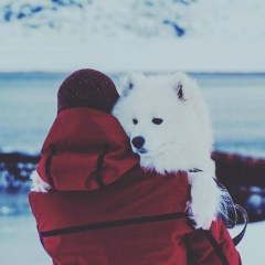 Андрей Пиоруньски, 17.07.1988, Балашиха