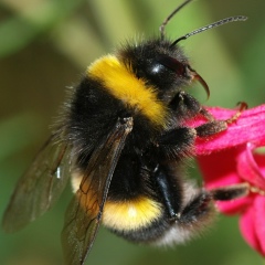 Andrew Miller, 24.02.1983, Харьков