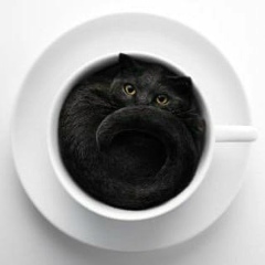 Ирина Фесенко, 26.05, Москва