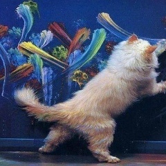 Анна Шлапай, 18.01.1993