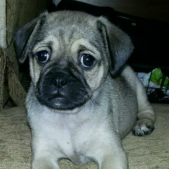 Наталия Иванцова, 28.06.1981, Николаев