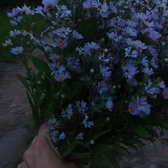 Анастасия Лазарева, 25.11, Новый Уренгой