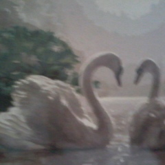 Dinara Shayahmetova, 21.07.1982, Астана