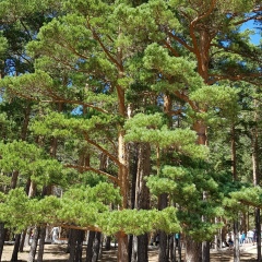 Aliya Usen, 25.02, Алматы