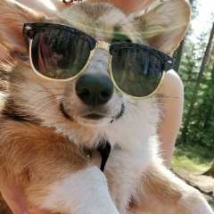 Арсений Крятов, 14.08.1988, Санкт-Петербург