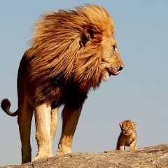 Саша Григорьев, 16.04.1988, Москва