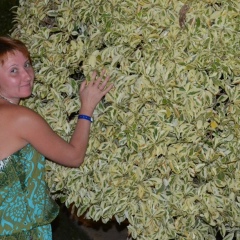 Екатерина Димкова, 25.01