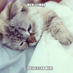 Денис Чабан, 29.05, Добротвор