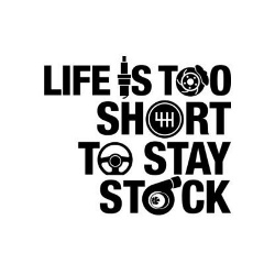 Антон Карпов, Красноярск