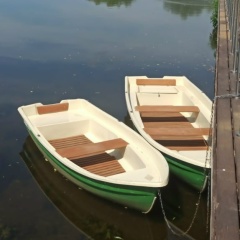 Ирина Тяпкина, 25.08.1968