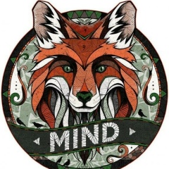 Андрей Лисовский, 24.06, Киев