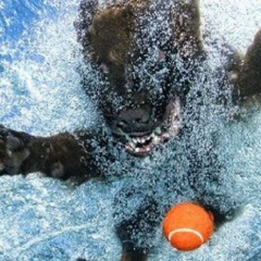 Ирина Смирнова, Москва