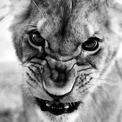 Евгений Гордеев, 12.02.1980, Ставрополь