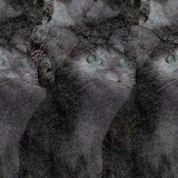 Mixa Бохан, 27.07, Минск