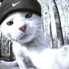 Денис Черныш, 29.05, Кишинев