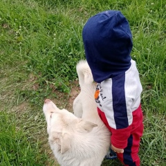 Жанара Амир, 12.12, Бишкек